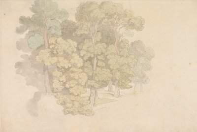 En gruppe af træer af Thomas Rowlandson